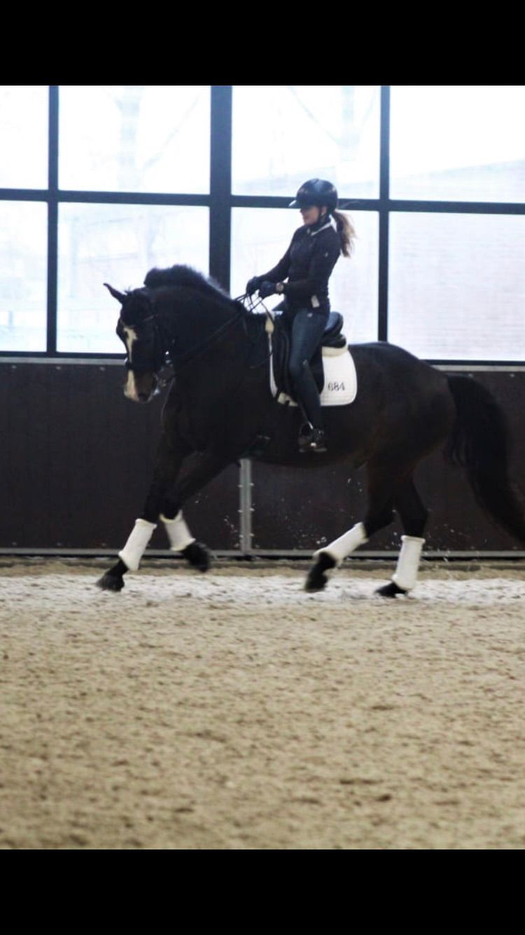 Jacobshoeve Reeuwijk-Jolanda