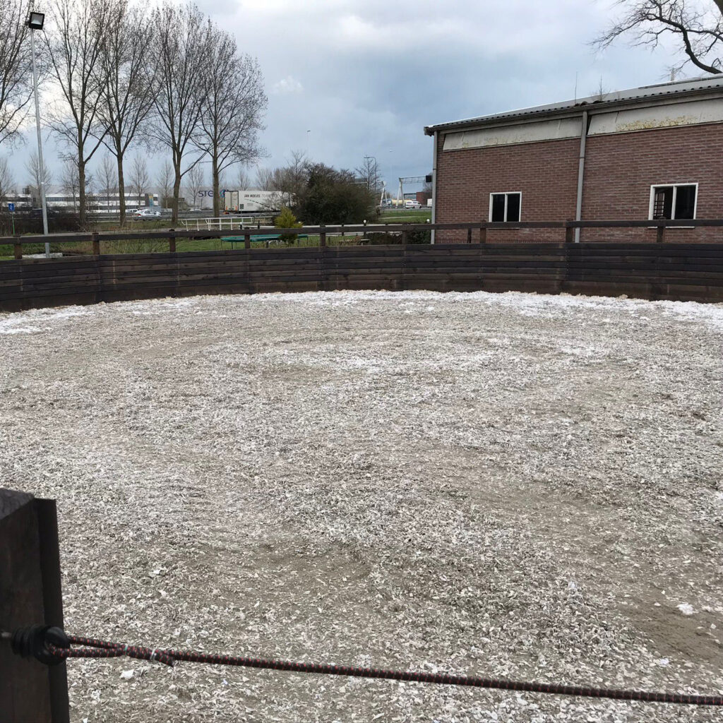 Jacobshoeve-Reeuwijk-longeer2